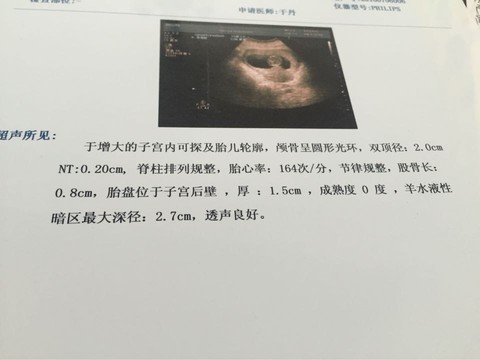 journal_insert_pic_523630628