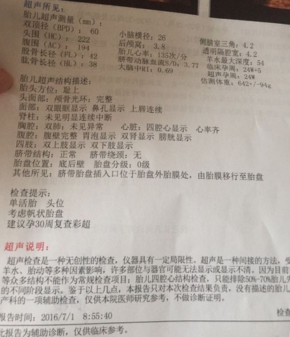 journal_insert_pic_524868016