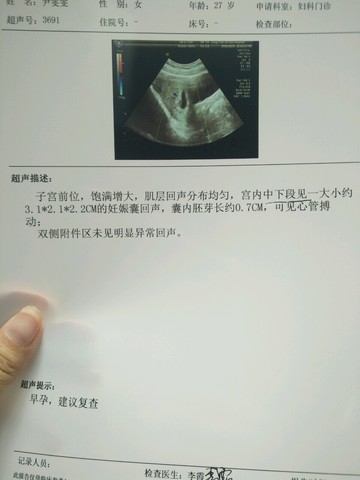 journal_insert_pic_524545595