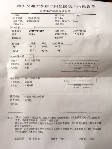 journal_insert_pic_525400354