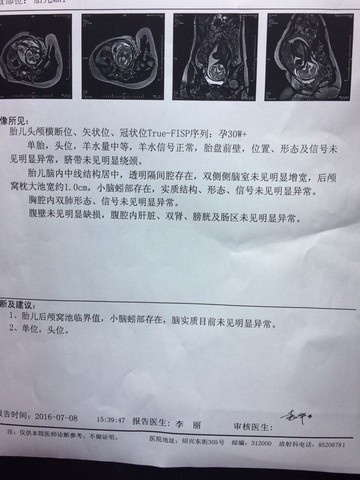 journal_insert_pic_525395463