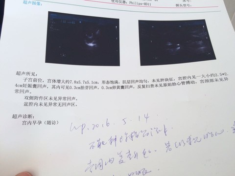 journal_insert_pic_525077198