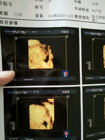journal_insert_pic_525909379