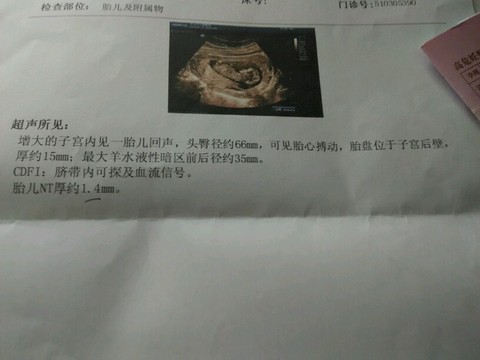 journal_insert_pic_526520758