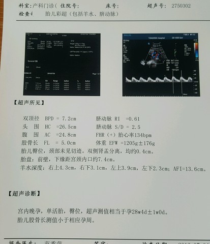 journal_insert_pic_527306596