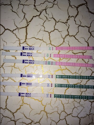journal_insert_pic_527306828