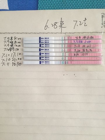 journal_insert_pic_527236549