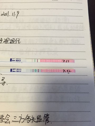 journal_insert_pic_528311025