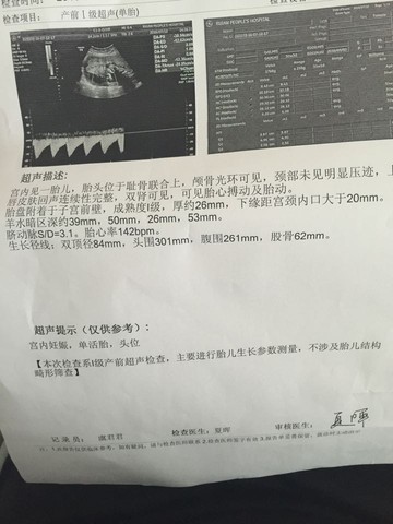 journal_insert_pic_528142092