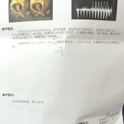 journal_insert_pic_528148799