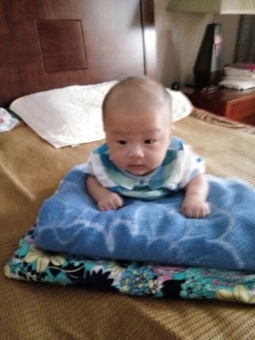 journal_insert_pic_528685952