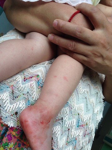 journal_insert_pic_528958657