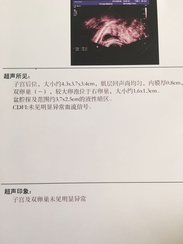 journal_insert_pic_529423968