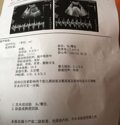 journal_insert_pic_529458932
