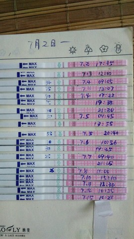 journal_insert_pic_530495691