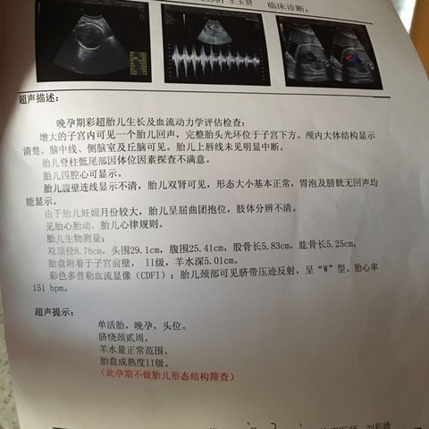 journal_insert_pic_530538686