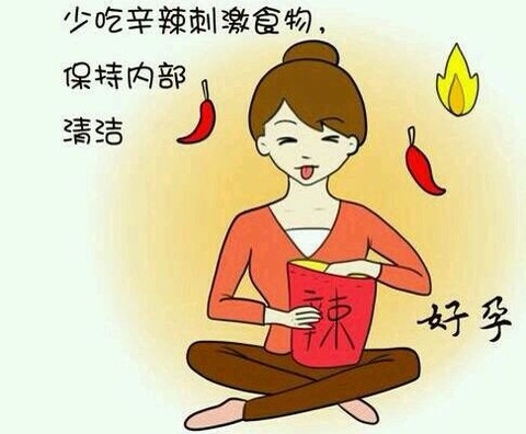 journal_insert_pic_531066932