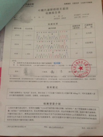 journal_insert_pic_531704476