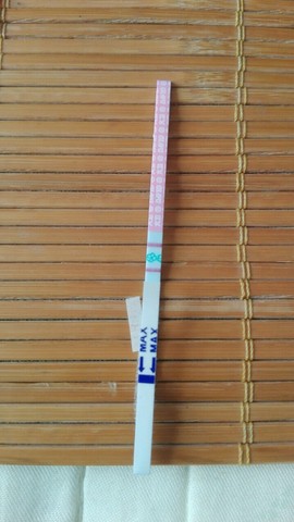 journal_insert_pic_531762377