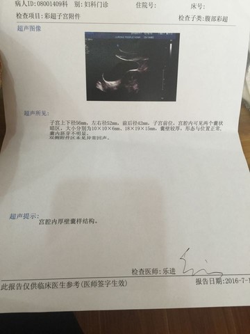 journal_insert_pic_531608036