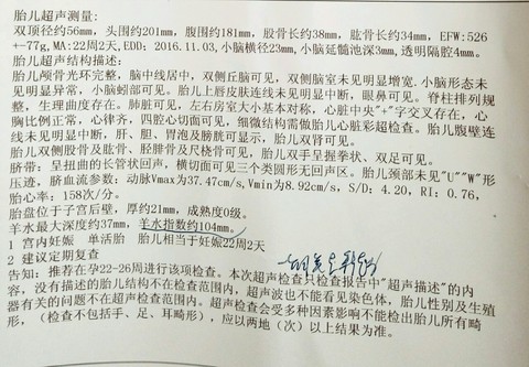 journal_insert_pic_532032610