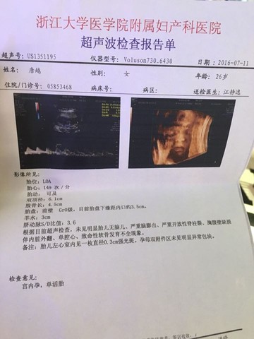 journal_insert_pic_532182758