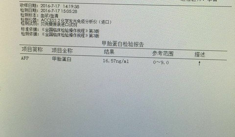 journal_insert_pic_532852144