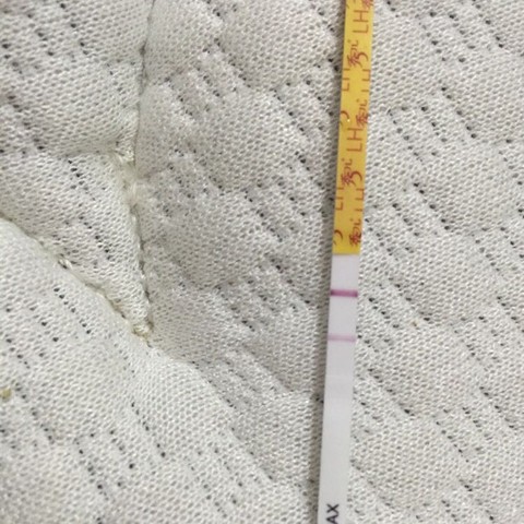 journal_insert_pic_533385774