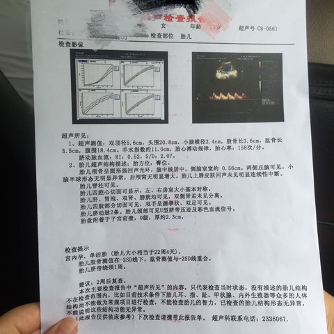journal_insert_pic_533929100