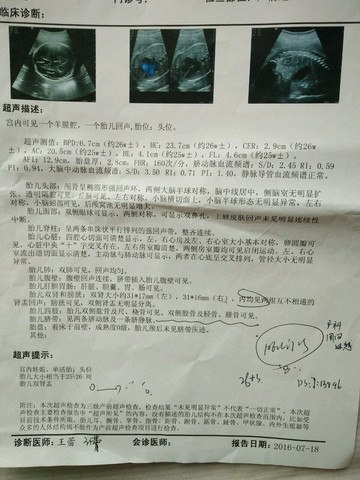 journal_insert_pic_533704165