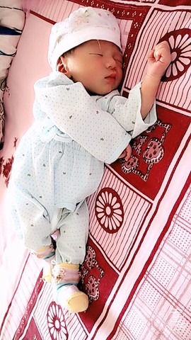 journal_insert_pic_537242747