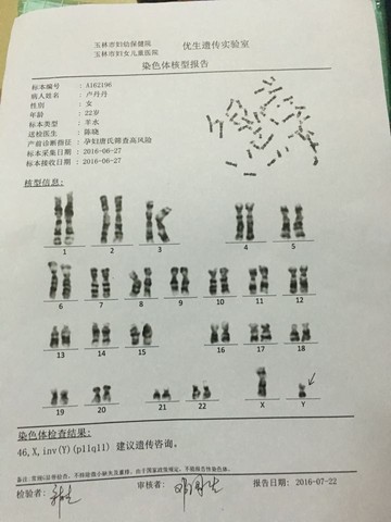 journal_insert_pic_538927605