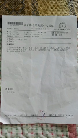 journal_insert_pic_539495140