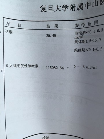 journal_insert_pic_540364672