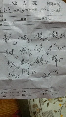journal_insert_pic_540510131