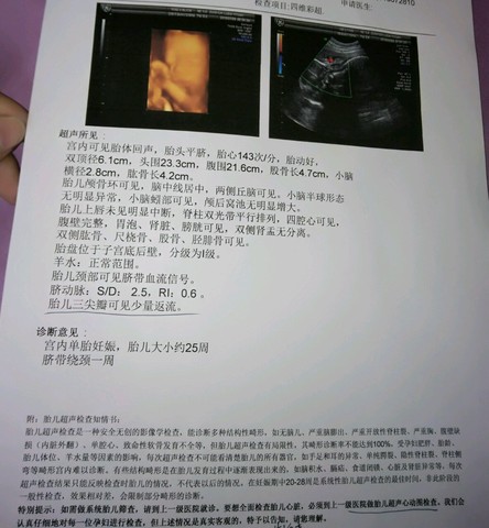 journal_insert_pic_540132355