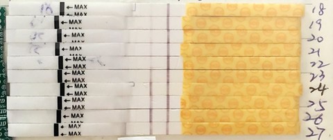 journal_insert_pic_540112080