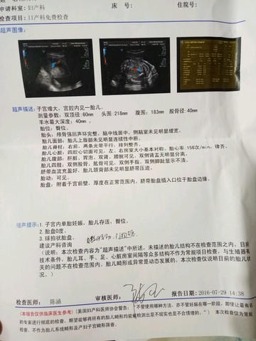 journal_insert_pic_540500175