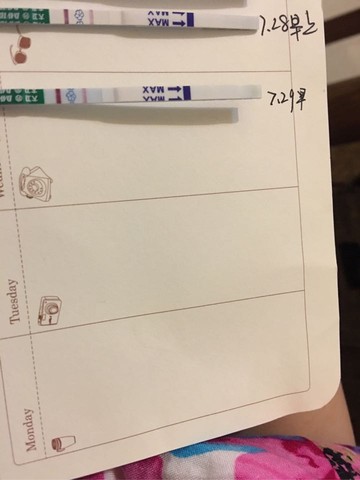 journal_insert_pic_540050713