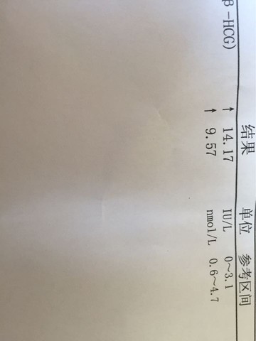 journal_insert_pic_541047044