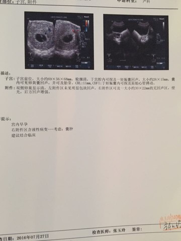 journal_insert_pic_541656602