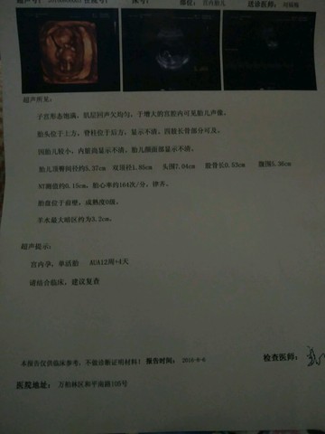 journal_insert_pic_545648277