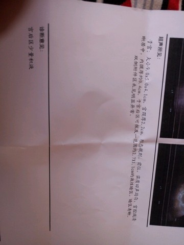 journal_insert_pic_549017173