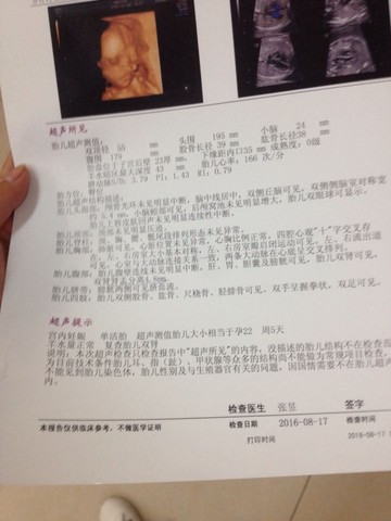 journal_insert_pic_553143834