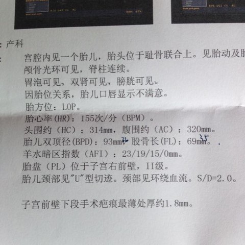 journal_insert_pic_555032902