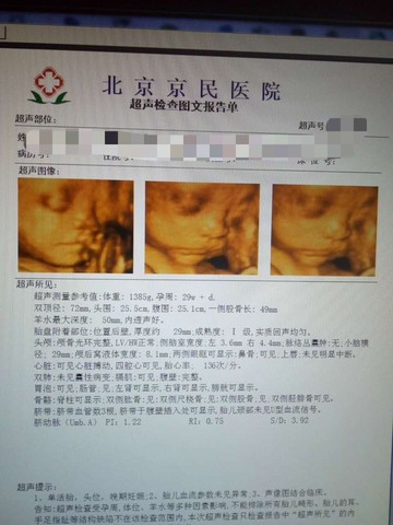 journal_insert_pic_555689904