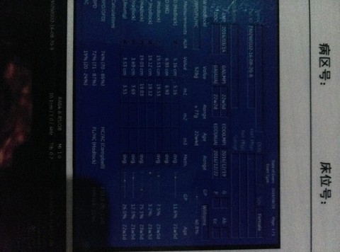journal_insert_pic_559534554
