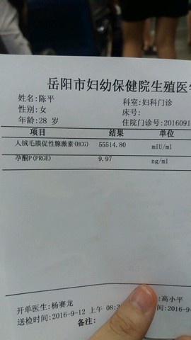 journal_insert_pic_569609466