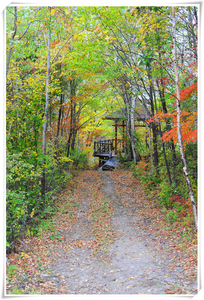 journal_insert_pic_578753519