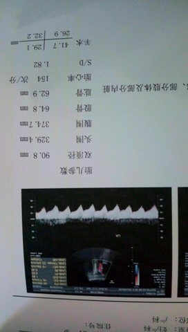 journal_insert_pic_579358108